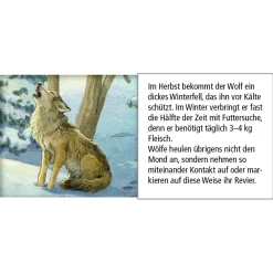 Käthe Wohlfahrt Adventsdeko & Kalender<Adventskalender "Tiere Im Winterwald"